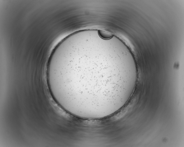 X0000102030952200808011444