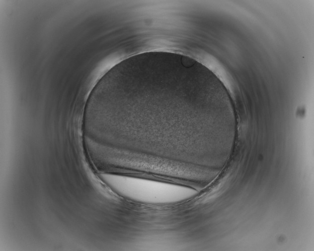 X0000102030954200808011444