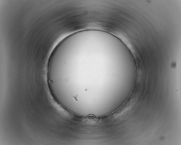 X0000102030955200808011445