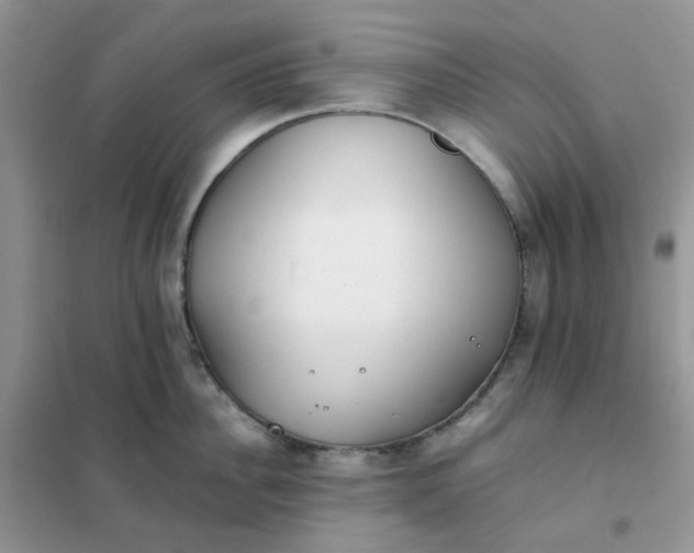 X0000102030956200808011445