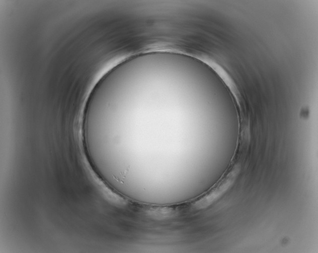 X0000102030957200808011445