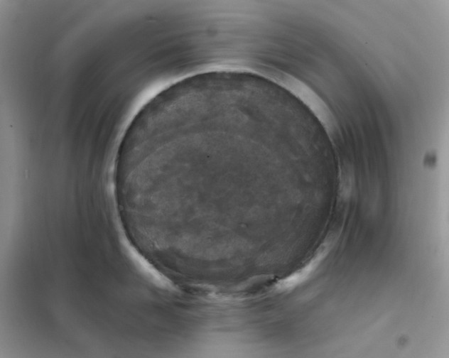 X0000102030958200808011445