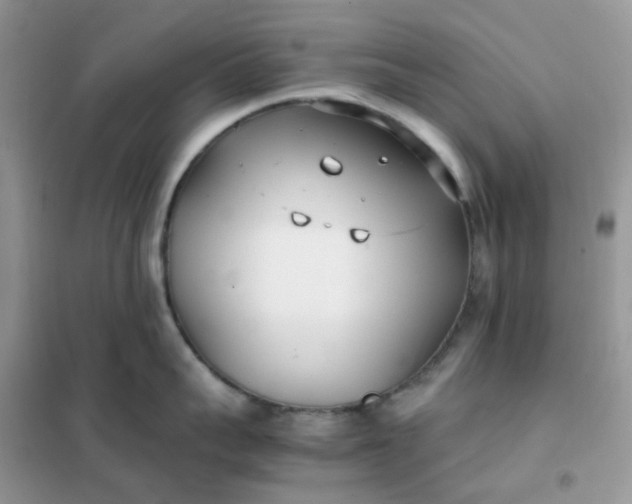 X0000102030959200808011445