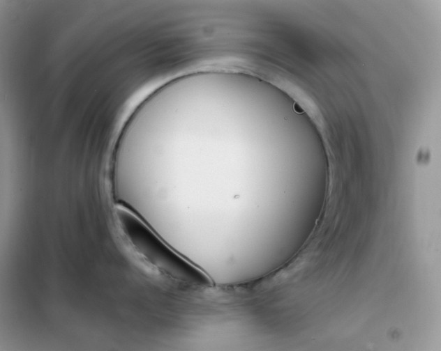 X0000102030960200808011445