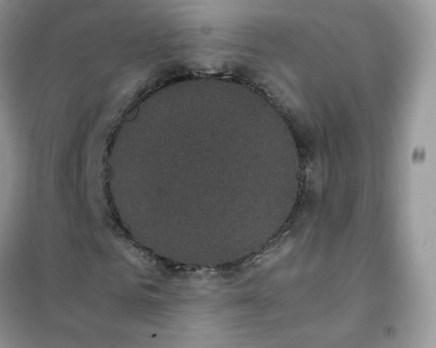 X0000102030961200808011444