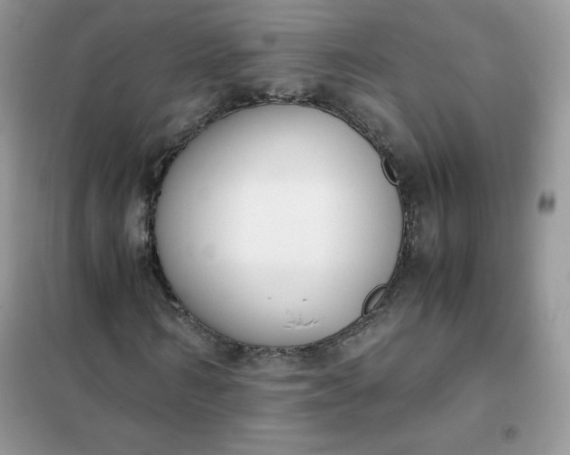 X0000102030962200808011444