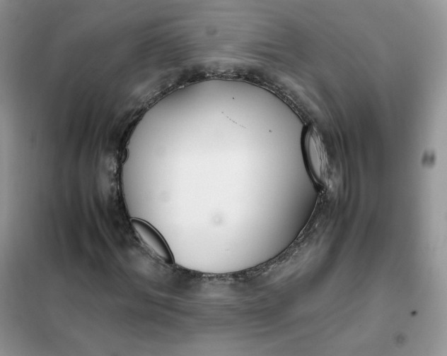 X0000102030964200808011444