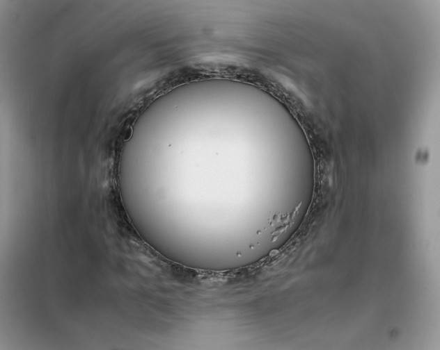 X0000102030965200808011444