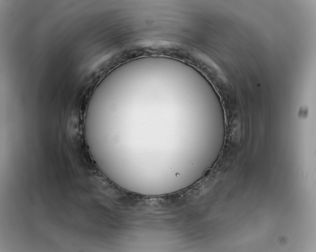 X0000102030966200808011444