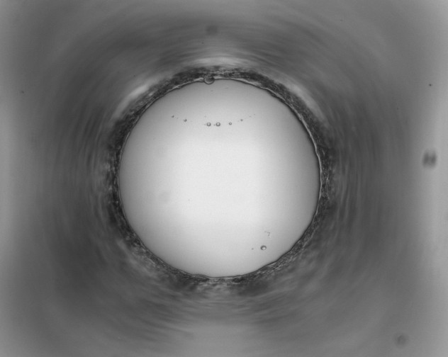 X0000102030967200808011444