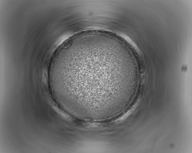 X0000102030969200808011444