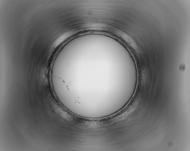 X0000102030970200808011444