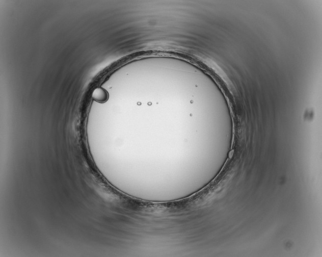 X0000102030971200808011444