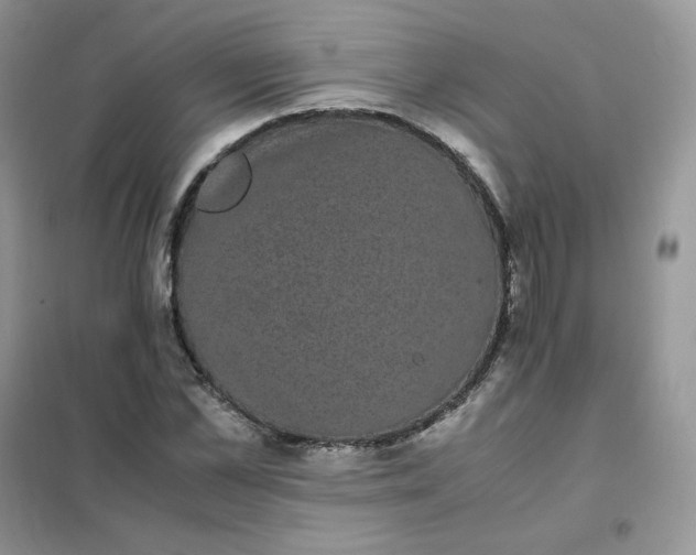 X0000102030973200808011444