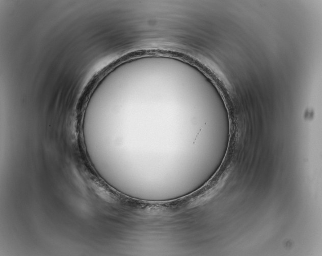 X0000102030974200808011444