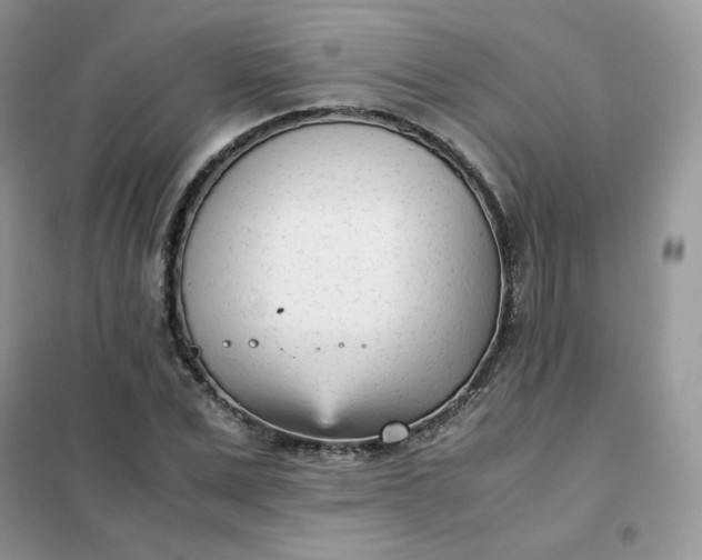 X0000102030975200808011444