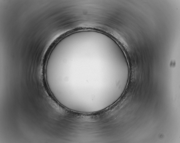 X0000102030976200808011444