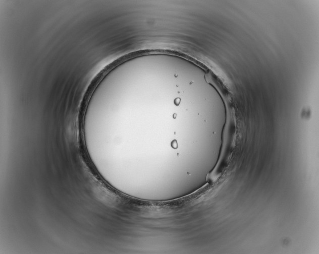 X0000102030980200808011443