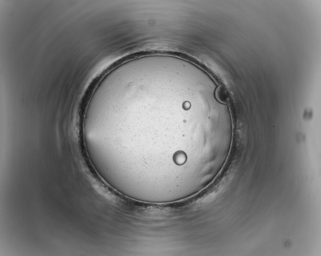 X0000102030981200808011443