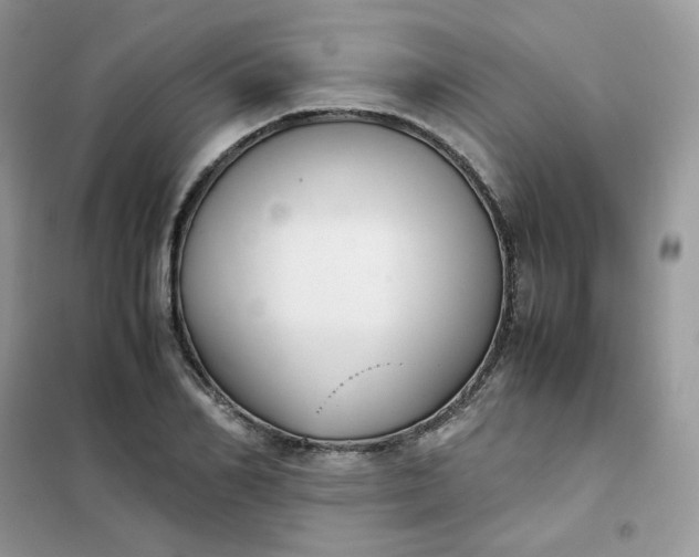 X0000102030982200808011443