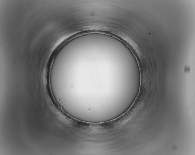 X0000102030983200808011443