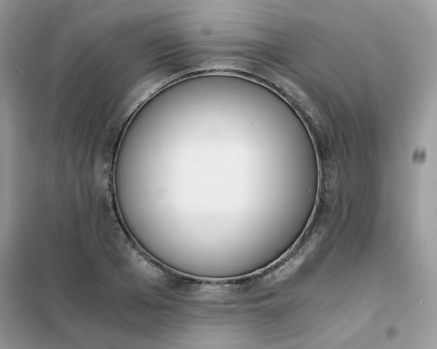 X0000102030985200808011443