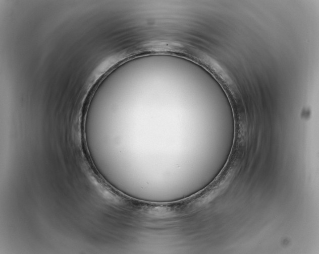 X0000102030986200808011443