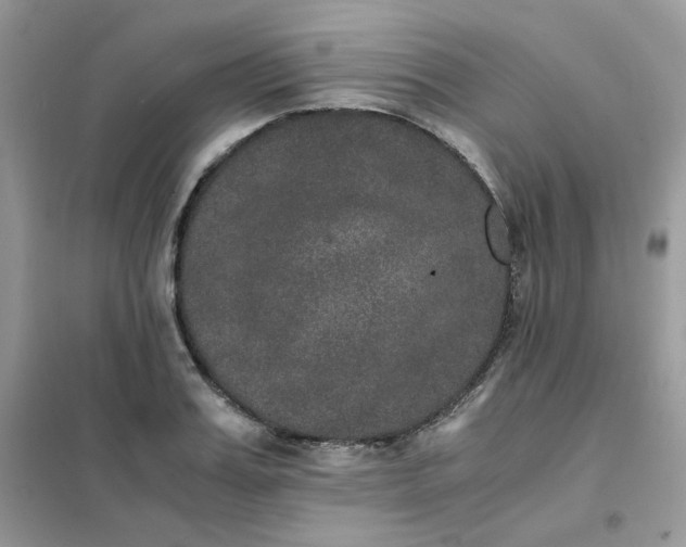 X0000102030987200808011443