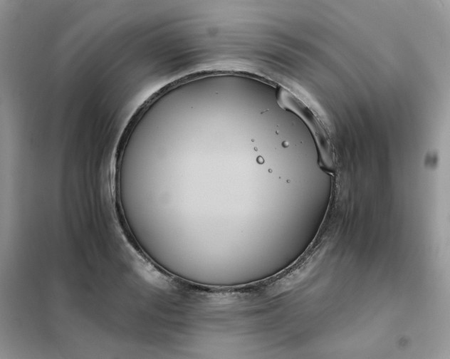 X0000102030988200808011443