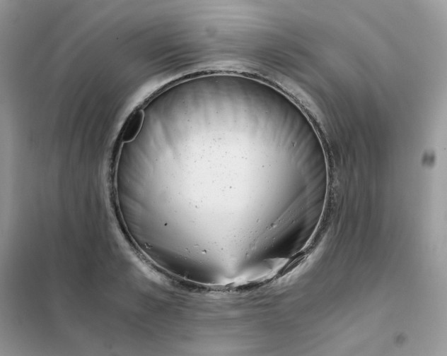 X0000102030989200808011443