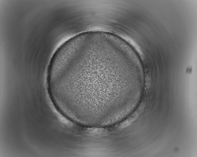 X0000102030991200808011443