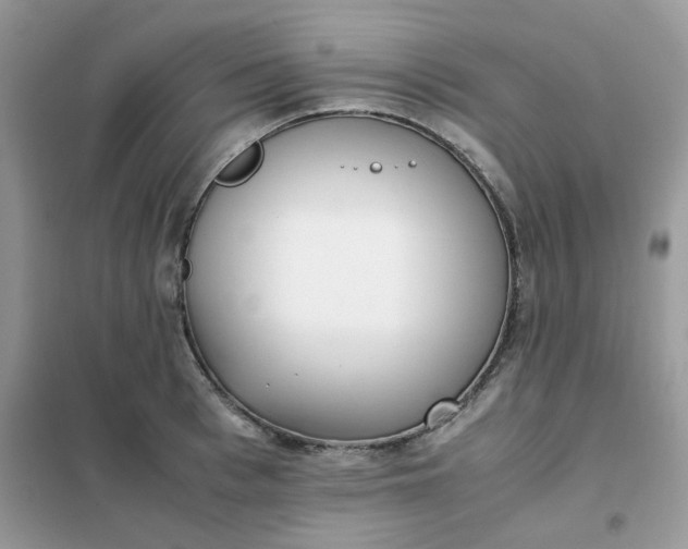 X0000102030993200808011443