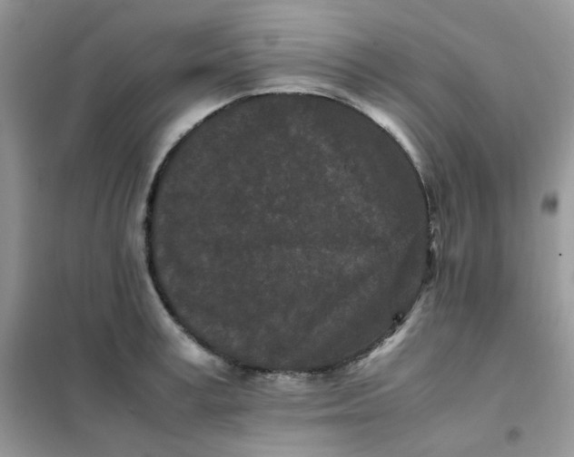 X0000102030995200808011443