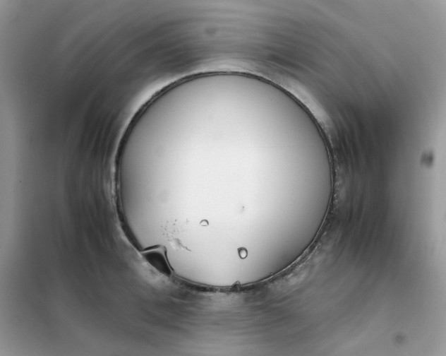 X0000102030996200808011443