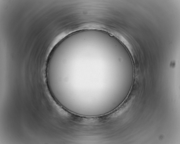 X0000102030997200808011443