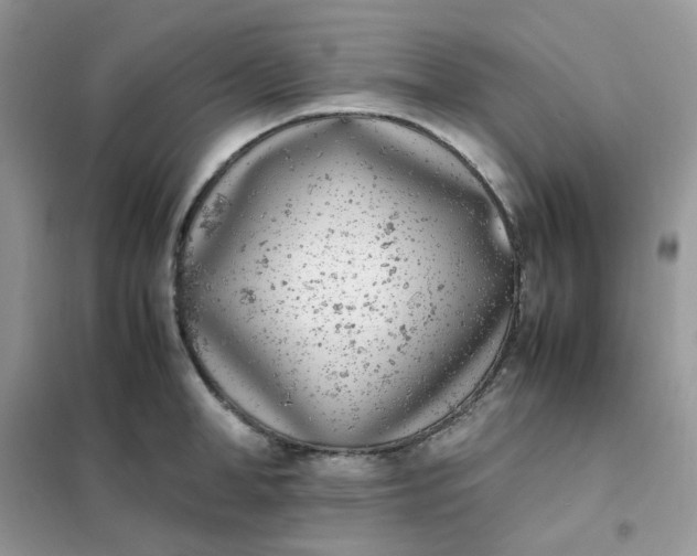 X0000102030998200808011443