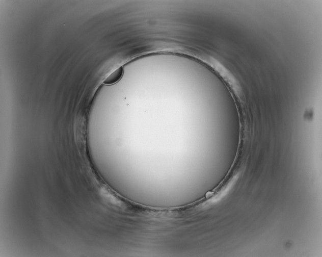 X0000102031001200808011443