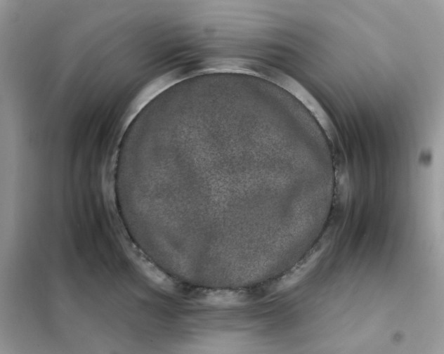 X0000102031002200808011443