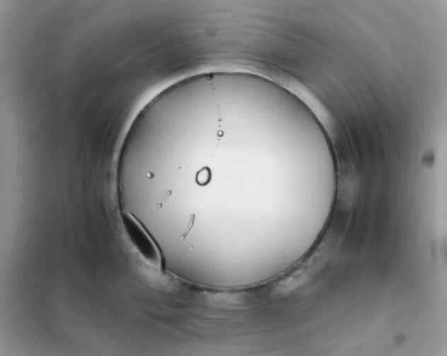 X0000102031004200808011443