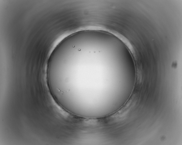 X0000102031006200808011443