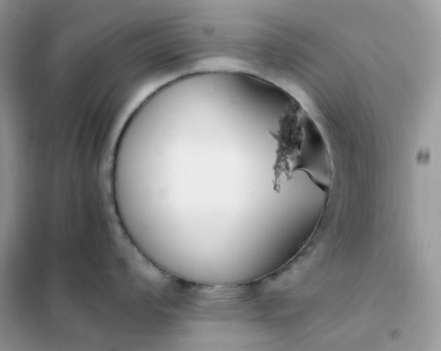 X0000102031008200808011443