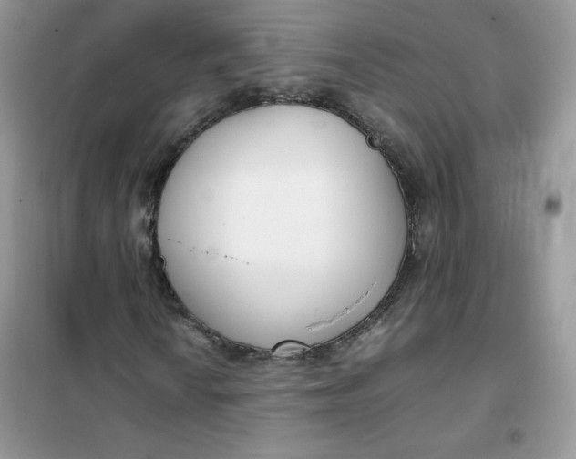 X0000102031010200808011442