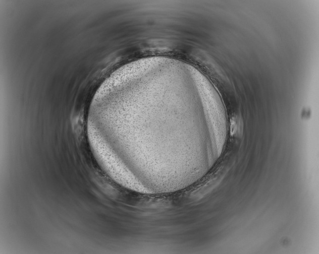 X0000102031011200808011442