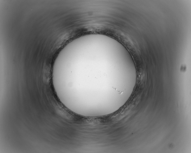 X0000102031012200808011442