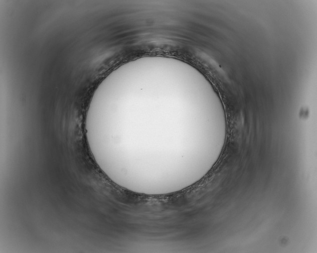 X0000102031013200808011442