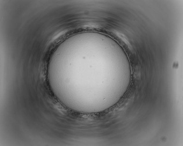 X0000102031015200808011442