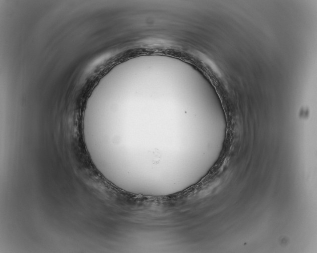 X0000102031016200808011442