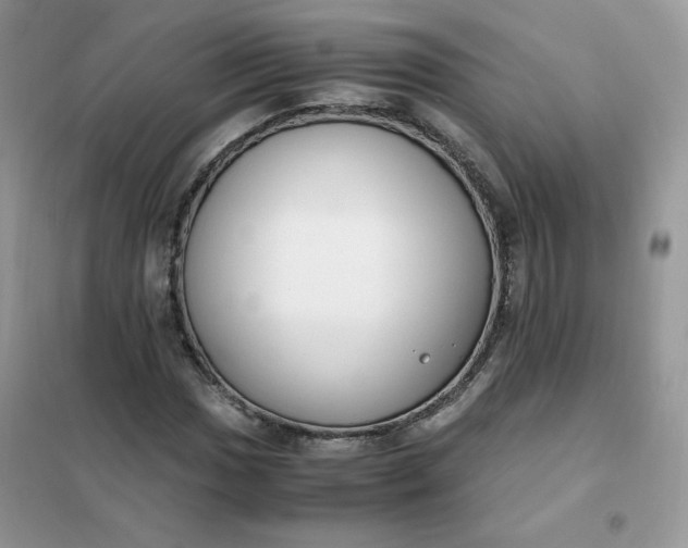 X0000102031017200808011442