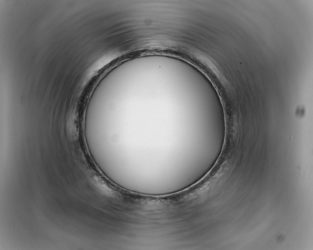 X0000102031018200808011442