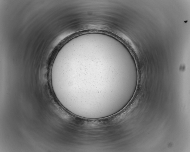 X0000102031019200808011443